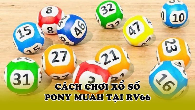 Cách chơi xổ số Pony Muah tại RV66