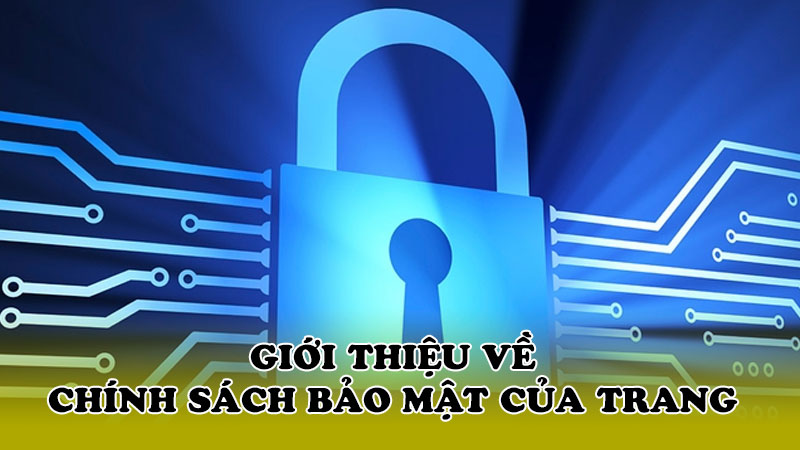 Giới thiệu về chính sách bảo mật của trang
