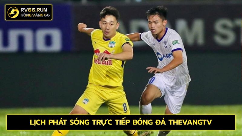 Lịch phát sóng trực tiếp bóng đá ThevangTV
